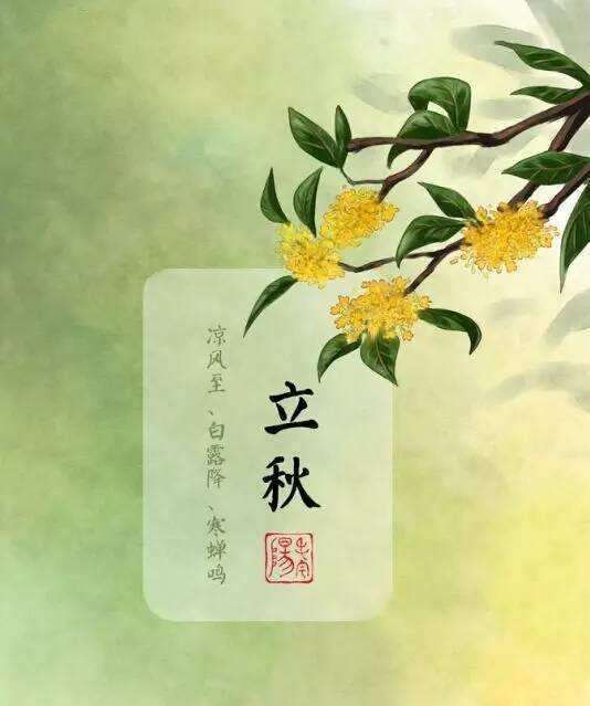 第709页