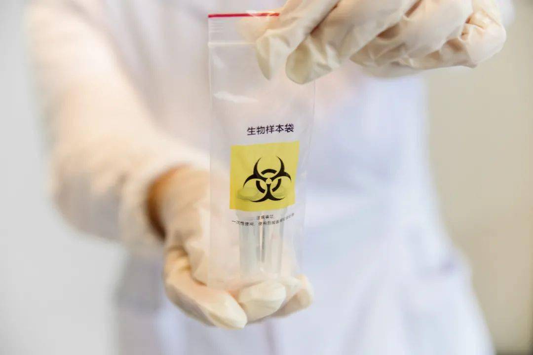 游戏专题 第119页