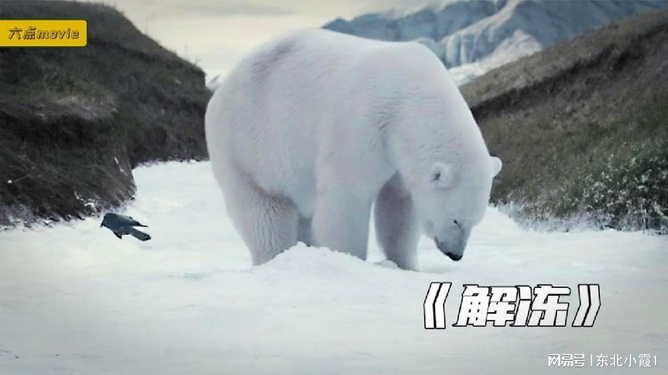 第1126页
