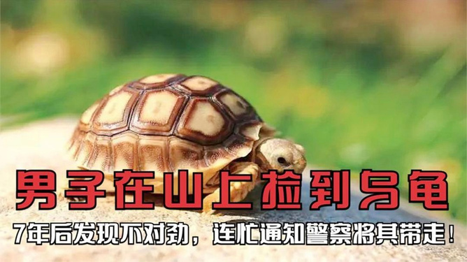 最新资讯 第100页