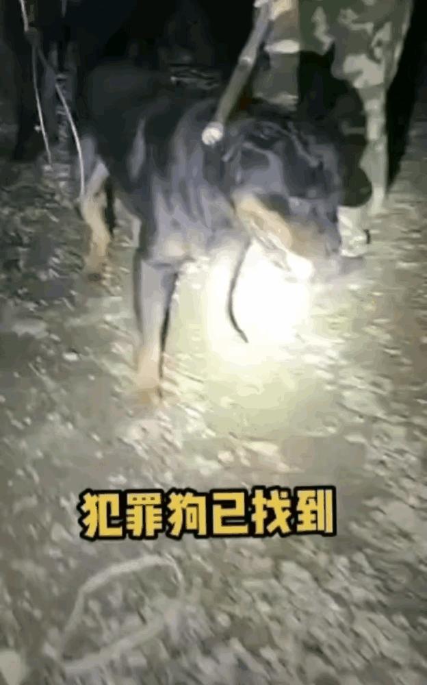 娱乐生活 第103页