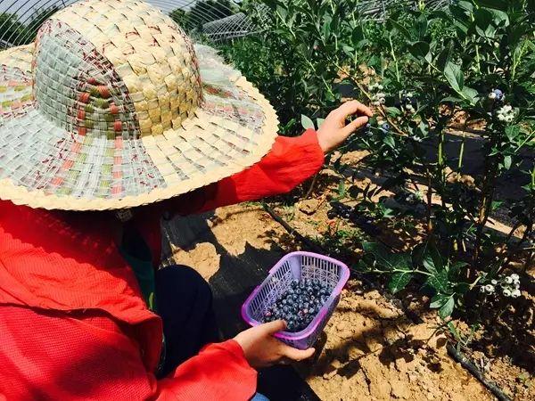 娱乐生活 第74页