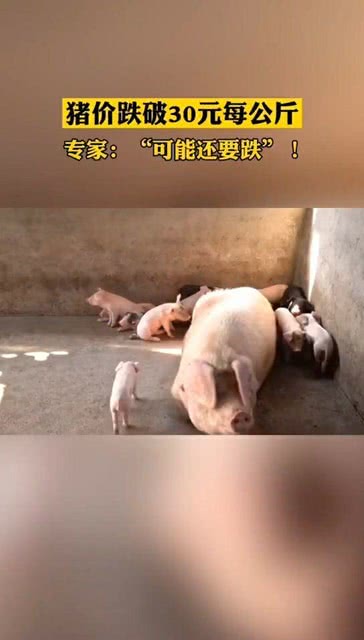 最新资讯 第39页